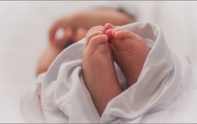 La ovodonación es una alternativa para tener un bebé en los métodos de reproducción asistida. ESPECIAL/Photo by Luma Pimentel on Unsplash.