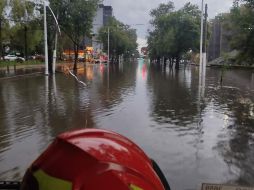 Inicia a finales de junio y principios de julio con la posibilidad de extenderse hasta septiembre. EL INFORMADOR/ARCHIVO