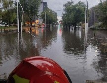 Inicia a finales de junio y principios de julio con la posibilidad de extenderse hasta septiembre. EL INFORMADOR/ARCHIVO