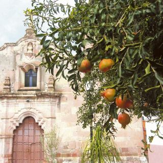 Magia y música en Cocula