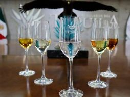 De enero a junio de este año fueron utilizadas un millón 130 mil toneladas de agave. ESPECIAL