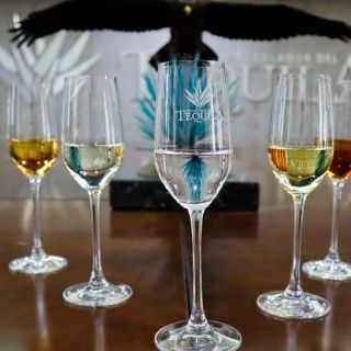 Producción y exportaciones de tequila reportan crecimiento en primer semestre del 2023