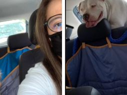 La labor de la chica viral en redes fue elogiada como una noble causa. ESPECIAL