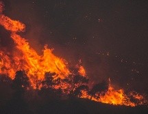 Los evacuados se congregaron a lo largo de la costa o fueron alojados en escuelas y hoteles. AP/PETROS GIANNAKOURIS