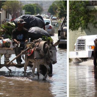 ¿Qué estados tendrán lluvias este martes? Aquí te contamos