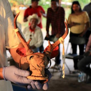 México repatria 24 piezas arqueológicas de Suecia que pertenecen al pueblo indígena yaqui