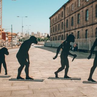 Expertos hallan los genes que nos permiten caminar erguidos