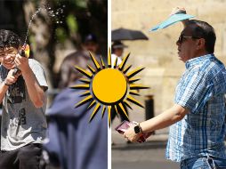 Aunque habitualmente la canícula se presenta a finales de julio o principios de agosto, no hay fecha exacta de su inicio y término. EL INFORMADOR / ARCHIVO