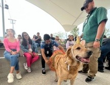 Además, se brindarán charlas sobre tenencia responsable de perros y exhibición de fauna silvestre. ESPECIAL