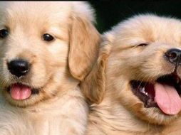 Hoy 21 de julio se celebra el 