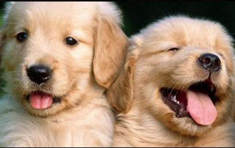 Hoy 21 de julio se celebra el 