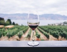 Jalisco se une a la temporada de vendimias. ESPECIAL/Photo by Kym Ellis on Unsplash.