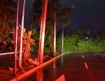 Cayeron 33 árboles en diversas calles del municipio, al igual que un espectacular y 9 postes, según informaron bomberos tapatíos. ESPECIAL