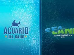 Acuario del Bajío se convierte en Sealand León. ESPECIAL/AYUNTAMIENTO DE LEÓN.
