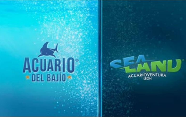 Acuario del Bajío se convierte en Sealand León. ESPECIAL/AYUNTAMIENTO DE LEÓN.