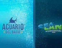 Acuario del Bajío se convierte en Sealand León. ESPECIAL/AYUNTAMIENTO DE LEÓN.