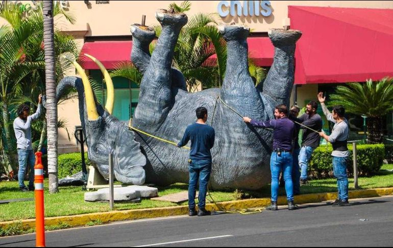El paquidermo es una representación fiel de un elefante de la India y mide 2.50 metros de alto por 4.60 metros de largo. EL INFORMADOR / A. Navarro