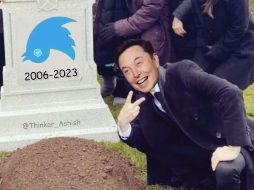 Elon Musk decidió cambiar el pájaro de Twitter por una 