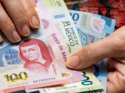 Solo debes cubrir los requisitos para recibir la Pensión Bienestar. ESPECIAL