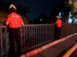 Los testigos de los reportantes han sido inconsistentes, por lo que todavía no se tiene una postura oficial. ESPECIAL