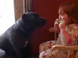 Niña entreteniendo a su perro al ritmo de su armónica. ESPECIAL