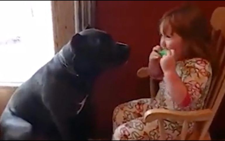 Niña entreteniendo a su perro al ritmo de su armónica. ESPECIAL