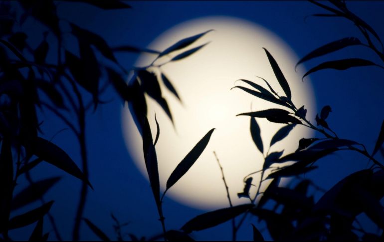 Las noches del 1 y el 30 de agosto tendrán una luminosidad especial. EFE/Archivo