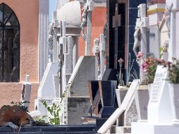 Del total de defunciones en 2022, el 90% fue por enfermedades y problemas relacionados con la salud y 10%, por causas externas. EL INFORMADOR / ARCHIVO