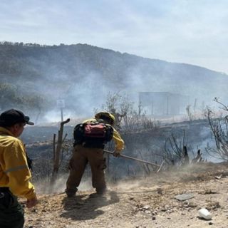 Dos hombres son condenados a cuatro años de prisión por incendio en La Primavera