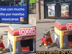 Destinados brindar comodidad y descanso a nuestras queridas mascotas. ESPECIAL