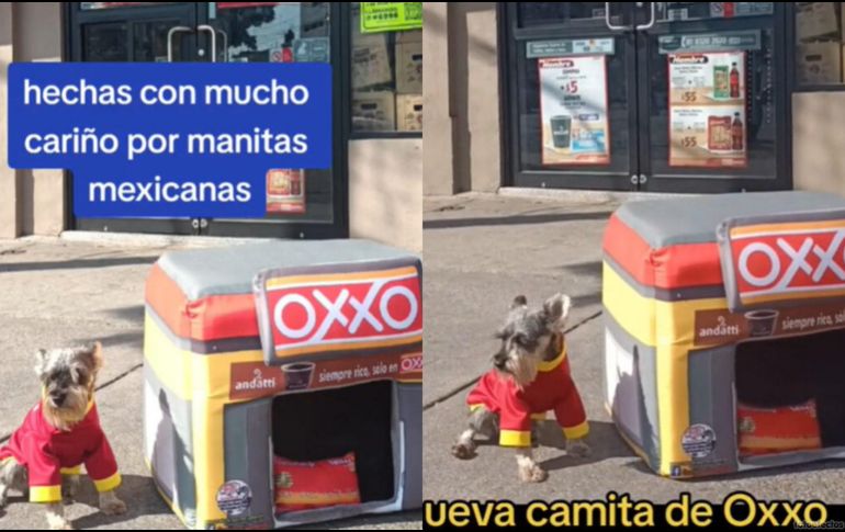 Destinados brindar comodidad y descanso a nuestras queridas mascotas. ESPECIAL