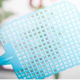 ¿Sabes por qué los matamoscas tienen hoyitos? Aquí te decimos