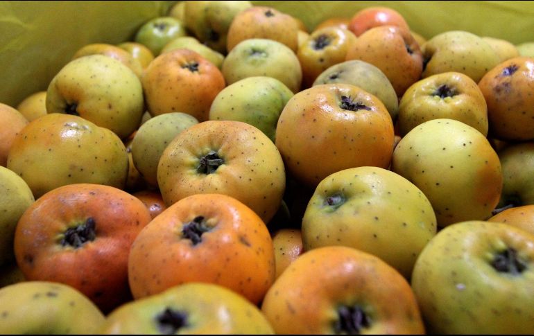 A pocos meses de dar inicio esta temporada no olvides comprar un poco de esta fruta y aproveches lo bueno que es consumir tejocote. NTX / ARCHIVO