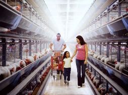 Todos los estrenos de Netflix para este miércoles