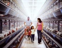 Todos los estrenos de Netflix para este miércoles