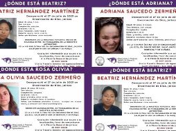 Según las primeras investigaciones, las jóvenes residentes de Aguascalientes acudieron a Encarnación de Díaz de visita con sus familiares, cuando ocurrió la desaparición. ESPECIAL
