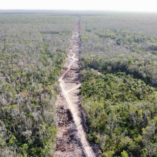 López Obrador decreta nueva expropiación para Tren Maya en Quintana Roo y Campeche