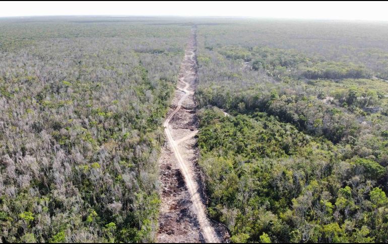 López Obrador decretó la expropiación de terrenos con una superficie total de más de 150 hectáreas para la construcción de obras de infraestructura ferroviaria y operación del Tren Maya. SUN / ARCHIVO