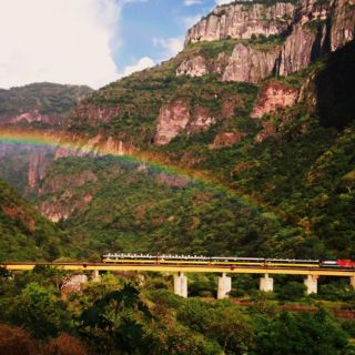 ¿Cuánto cuesta viajar en el Chepe, el tren de la Barranca del Cobre?