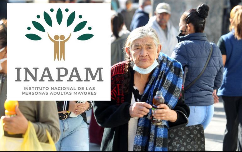 Es necesario renovar la credencial del INAPAM para conservar sus beneficios. EL INFORMADOR/ ARCHIVO