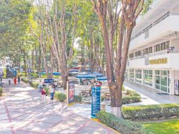 Las instalaciones de la Universidad Cuauhtémoc cuentan con áreas verdes donde los estudiantes viven en contacto con la naturaleza. ESPECIAL