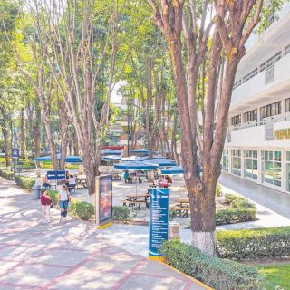 Universidad Cuauhtémoc, descubre tu futuro