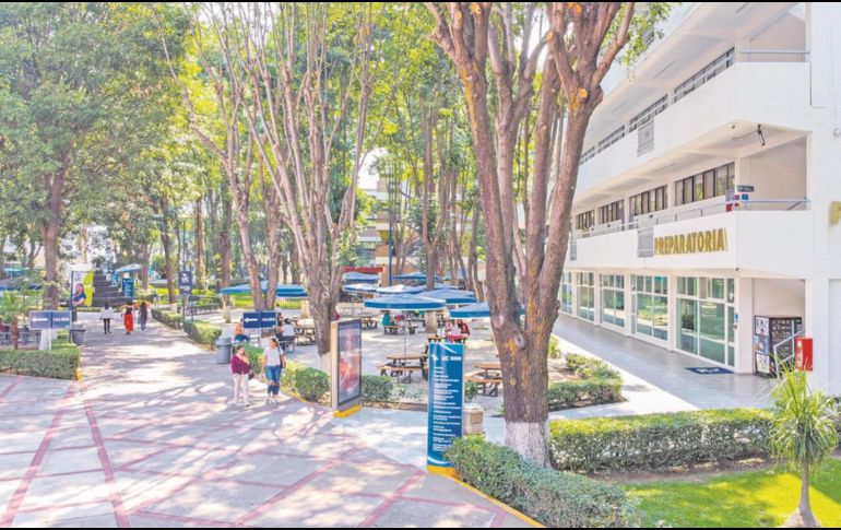Las instalaciones de la Universidad Cuauhtémoc cuentan con áreas verdes donde los estudiantes viven en contacto con la naturaleza. ESPECIAL
