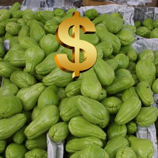 Inflación se desinfla a 4.79% en México; chayotes, chiles y ejotes, los más caros