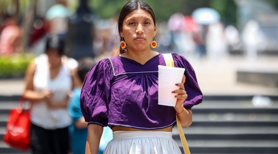 Un gran sector de la población indígena se traslada a la ciudad para buscar mejores condiciones de vida. EL INFORMADOR/H. FIgueroa