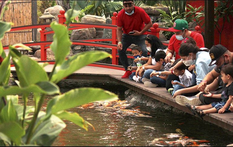Disfruta este verano en el Zoológico Guadalajara. ESPECIAL/CORTESÍA ZOOLÓGICO GUADALAJARA.