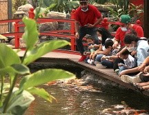Disfruta este verano en el Zoológico Guadalajara. ESPECIAL/CORTESÍA ZOOLÓGICO GUADALAJARA.