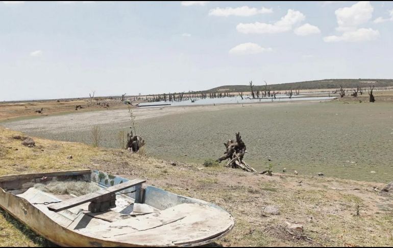 Datos de la Comisión Nacional del Agua (Conagua) revelan que el 1 de julio de este año, 84 municipios de Jalisco se encontraban en condiciones de sequía extrema. EL INFORMADOR / ARCHIVO