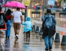 Todas las lluvias tienen pronóstico de estar acompañadas de descargas eléctricas. EL INFORMADOR/ARCHIVO