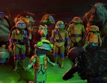 Conoce datos que no sabías de las 